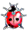 Une petite coccinelle, c'est mignon
